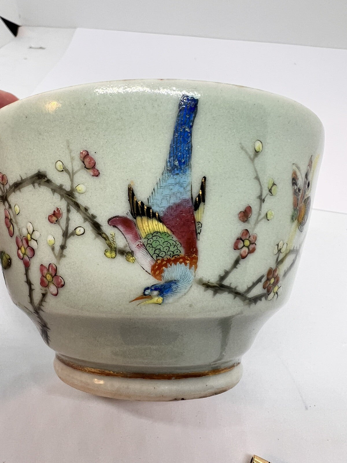 19C Lg Chinese Celadon Famille Rose Cherry Blossom Brd Butterfly ￼Tea Cup Canton